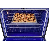 6.3 Cu. Ft. Stainless Slide-In Smart Induction Range