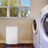 50 Pint Digital Control Dehumidifier with Built-In Drain Pump