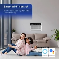 12,000 BTU Through-the-Wall Smart Air Conditioner