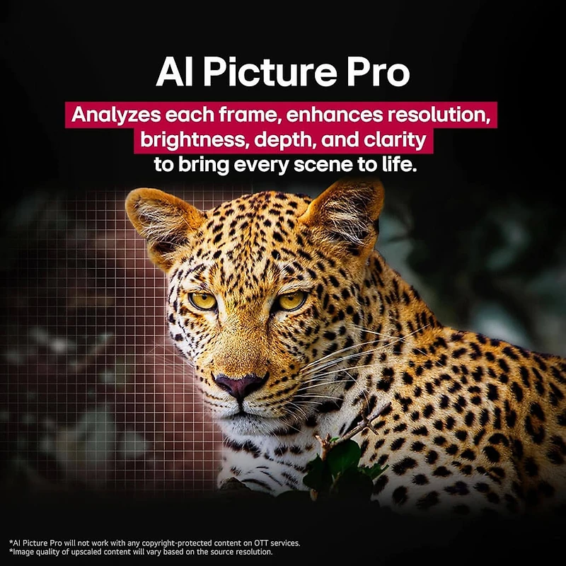  OLED evo AI 4K Smart TV w/A9 Gen8, 144Hz, Dolby Vision/Atmos, HDR10, AI Upscaling, Alexa + UAX 4K HDMI Cable + CPS 24-Mo Protection + Streaming Bundle (OLED77C5PUA, 2025)