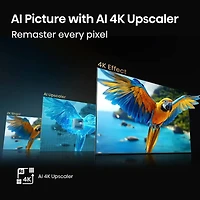 75 inch Class QD65 Series QLED 4K UHD Smart Fire TV