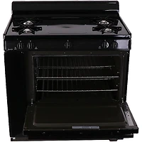 3.9 Cu. Ft. Black Freestanding Gas Range