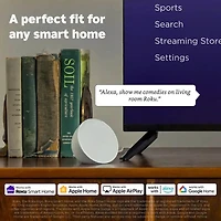 Streaming Stick HD with Voice Remote