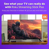 Streaming Stick Plus 4K with Voice Remote 