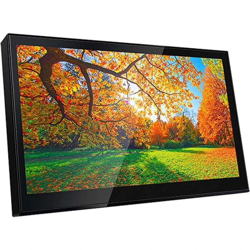 8 inch Digital Multimedia Receiver with iDataLink Maestro RR