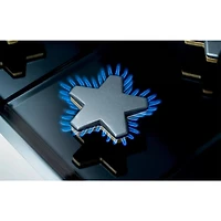 30 inch Stainless 5 Burner Gas Cooktop