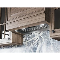 34 inch Stainless Custom Hood Insert