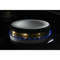 5.1 Cu. Ft. Stainless Freestanding Dual Fuel Range 