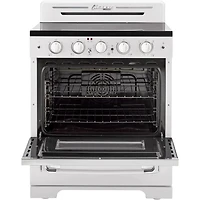  3.9 Cu. Ft. Freestanding Convection Electric Range