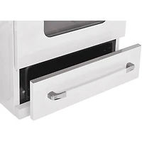  3.9 Cu. Ft. Freestanding Convection Electric Range