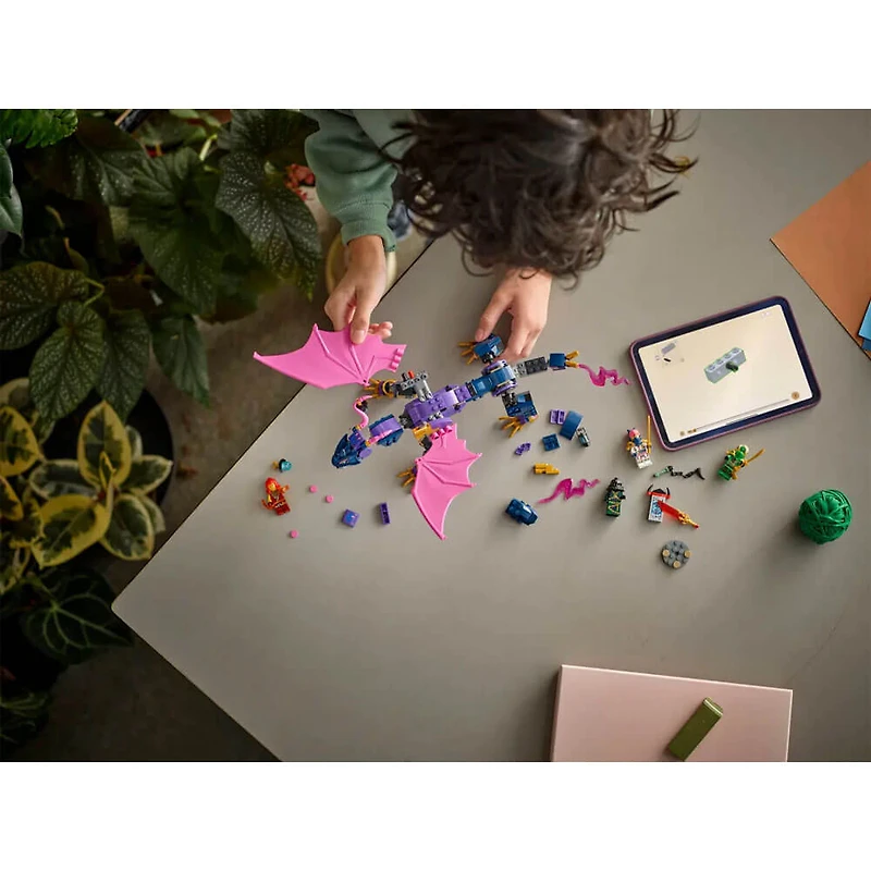 NINJAGO Rontu the Master Dragon