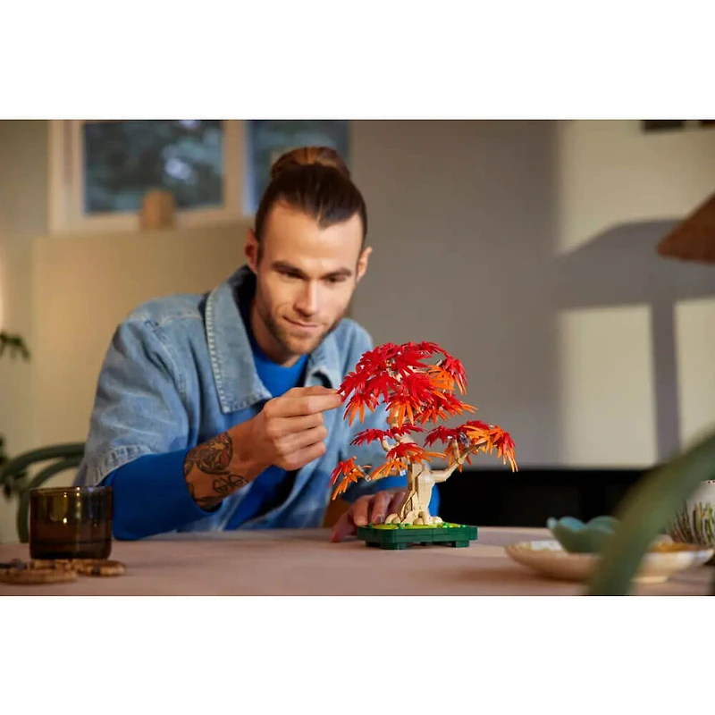 Botanicals Japanese Red Maple Bonsai Tree