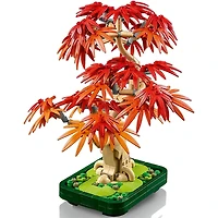 Botanicals Japanese Red Maple Bonsai Tree