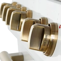 5 Cu. Ft. White Slide-In Induction Convection Range