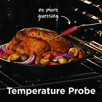 6.2 Cu. Ft. Stainless Stone Baked Pizza Freestanding Electric Convection Range