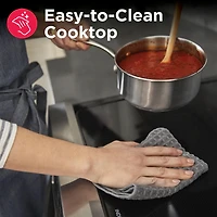 6.2 Cu. Ft. Stainless Stone Baked Pizza Freestanding Induction Electric Convection Range