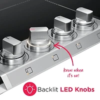 36 inch 5 Burner Stainless PrecisionPro Induction Cooktop