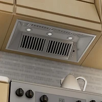 40 inch Stainless Wall Mount Insert Range Hood