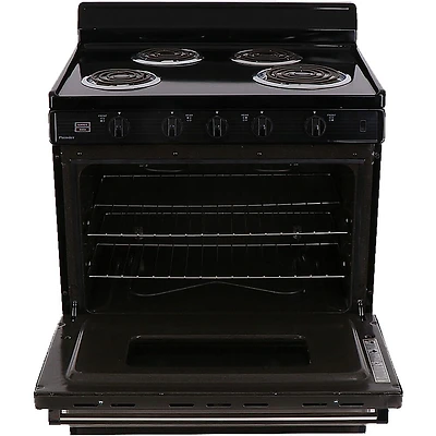 3.91 Cu. Ft. Stainless Freestanding Electric Range