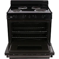 3.91 Cu. Ft. Stainless Freestanding Electric Range