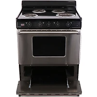 3.91 Cu. Ft. Stainless Freestanding Electric Range