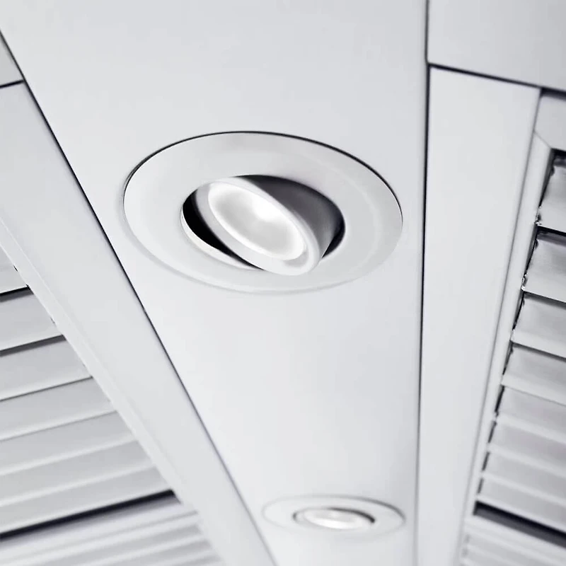 48 inch Stainless Professional Ducted Wall Mount Range Hood