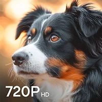 32 inch Class Genesis Series 720p HD LED Smart Xumo TV