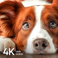 inch Class Revolution Series 4K UHD HDR LED Smart Xumo TV