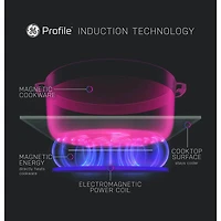 5.3 Cu. Ft. Stainless Slide-In Induction and Convection Range