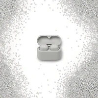 The Best Series Truly Wireless Noise Cancelling Earbuds - Platinum Silver