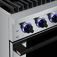 4.2 Cu. Ft. Stainless and Matte Black HausPro Freestanding Dual Fuel Convection Range