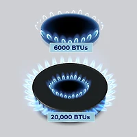 4.2 Cu. Ft. Stainless and Satin Brass HausPro Freestanding Dual Fuel Convection Range