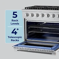 4.2 Cu. Ft. Stainless and Satin Brass HausPro Freestanding Dual Fuel Convection Range