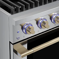 4.2 Cu. Ft. Stainless and Satin Brass HausPro Freestanding Dual Fuel Convection Range