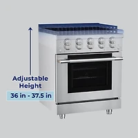 4.2 Cu. Ft. Stainless HausPro Freestanding Dual Fuel Convection Range