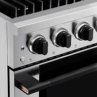 5.2 Cu. Ft. Stainless and Matte Black Freestanding Dual Fuel Convection Range