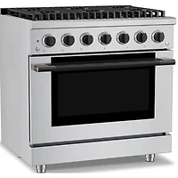 5.2 Cu. Ft. Stainless and Matte Black Slide-In Gas Convection Range