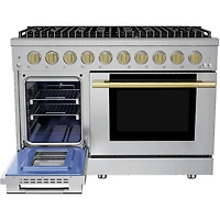 6.7 Cu. Ft. Stainless and Satin Brass Freestanding Double Oven Duel Fuel Convection Range
