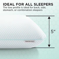 Everyday Comfort Pillow - Standard