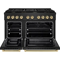 6.7 Cu. Ft. Black Stainless Double Oven Dual Fuel Range