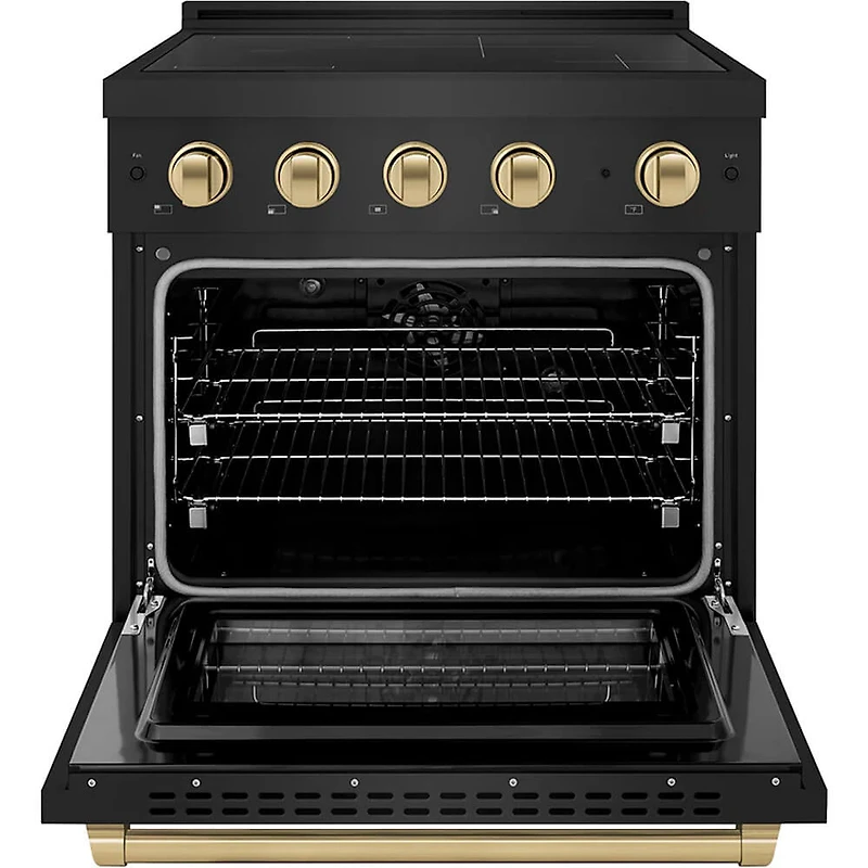 4.2 Cu. Ft. Black Stainless Freestanding Convection Induction Range