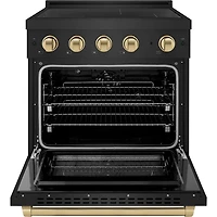 4.2 Cu. Ft. Black Stainless Freestanding Convection Induction Range