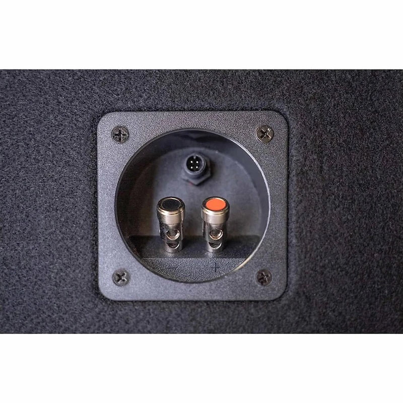 Dual 12” Loaded Subwoofer with selectable 1/2/4-ohm impedance