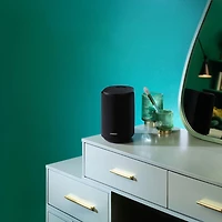 Lifestyle Ultra Speaker Pair - Black