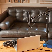 Cardioid Condenser Studio Low-Mass Diaphragm Microphone - Black