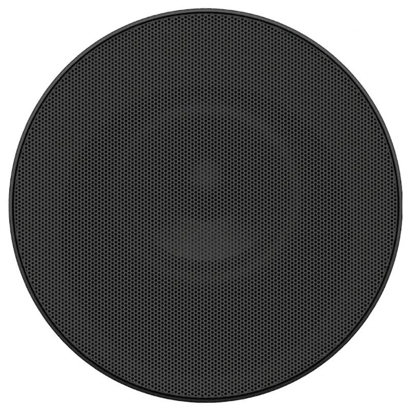BRAVIA Theater Rear 9 Speakers with Dolby Atmos - Black