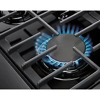 6.0 Cu. Ft. Stainless Steel Freestanding Liquid Propane Range