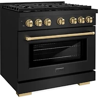 5.2 Cu. Ft. Black Stainless Slide-In Dual-Fuel Convection Range