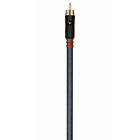2000 Series 10 Ft. Subwoofer Cable