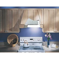 390 CFM 20-1/2 inch wide, Custom Power Pack in Silver